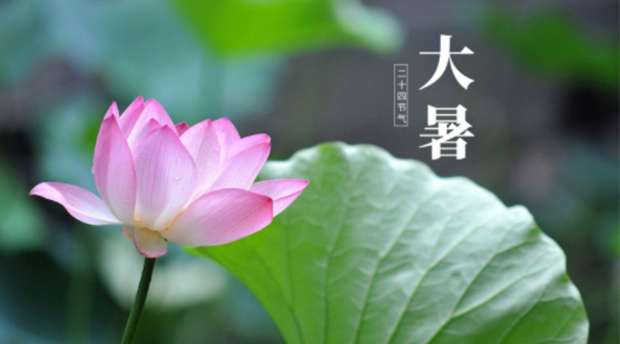 大暑時節(jié)！金環(huán)電器提醒大家注意這些干衣細(xì)節(jié)