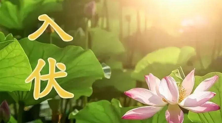 入伏天來襲！金環(huán)電器提醒大家要注意的事項(xiàng)