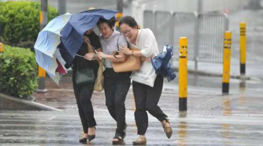 家有衣物烘干機，無懼臺風(fēng)天吹走和淋濕衣物！