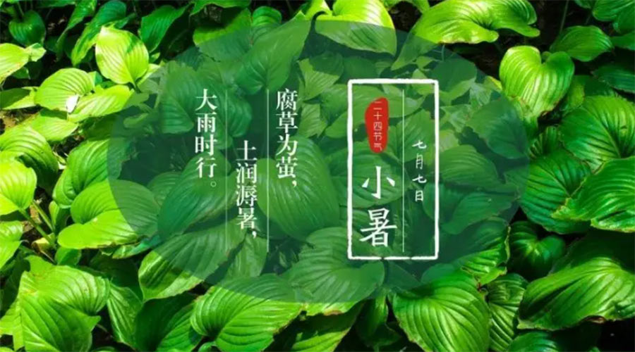 小暑時(shí)節(jié)來到！金環(huán)電器提醒大家要注意的事項(xiàng)