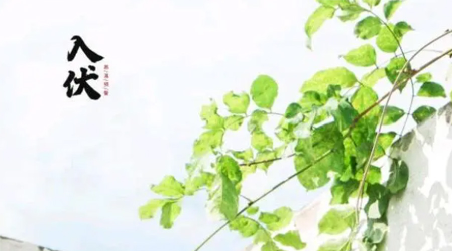 初伏時(shí)節(jié)！金環(huán)電器提醒大家要注意的事項(xiàng)