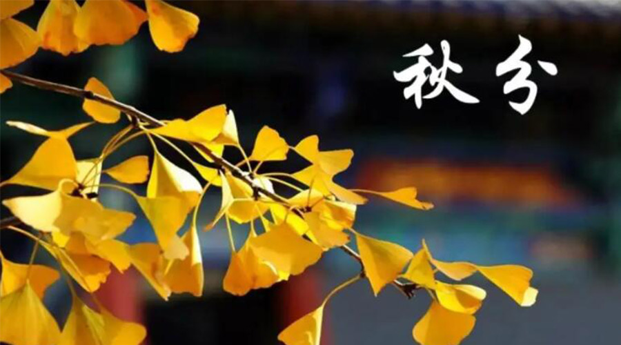 秋分時(shí)節(jié)！金環(huán)電器提醒大家要注意的事項(xiàng)