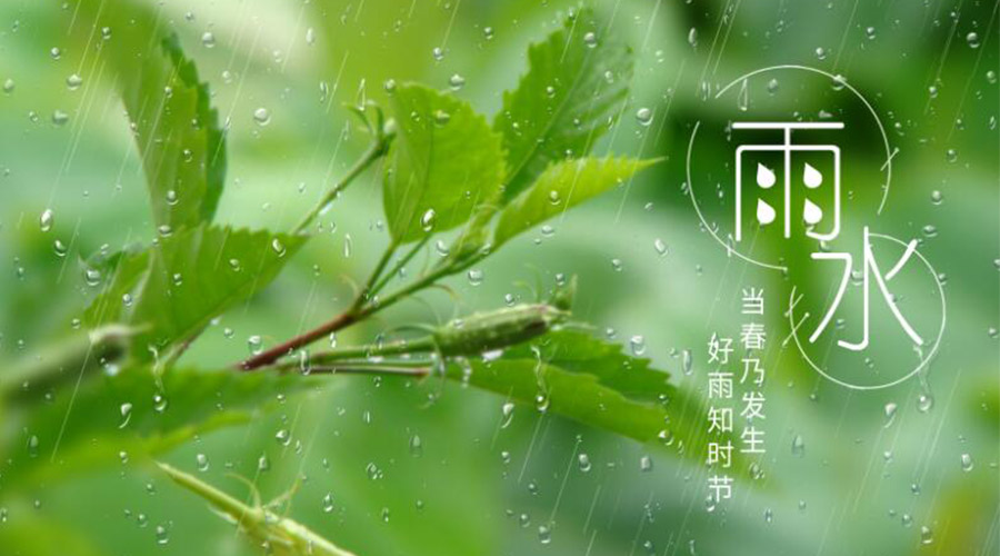 雨水時(shí)節(jié)！金環(huán)電器提醒大家要注意的事項(xiàng)