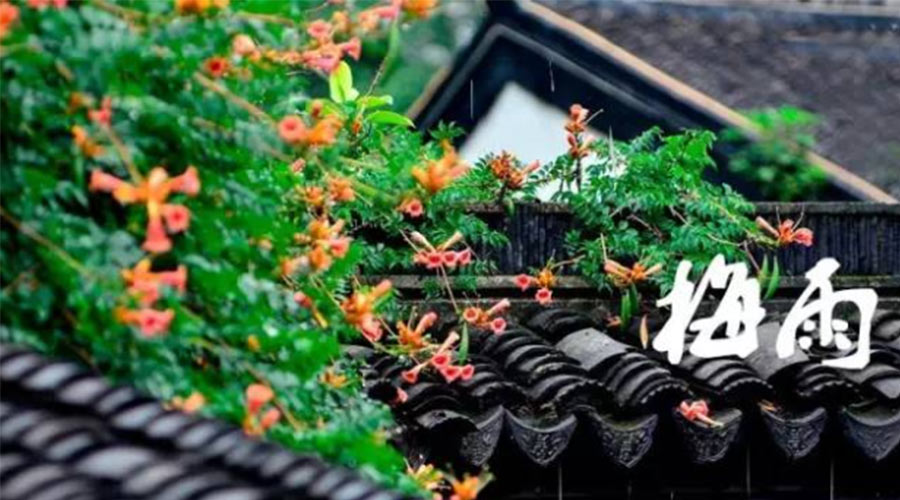 什么是梅雨？梅雨如何形成？  金環(huán)電器告訴你答案