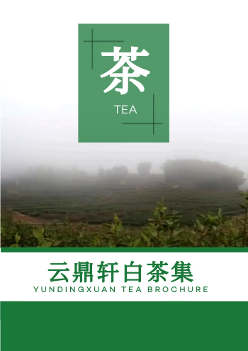 如何选择最适合你的数据库开发工具？——一场技术盛宴